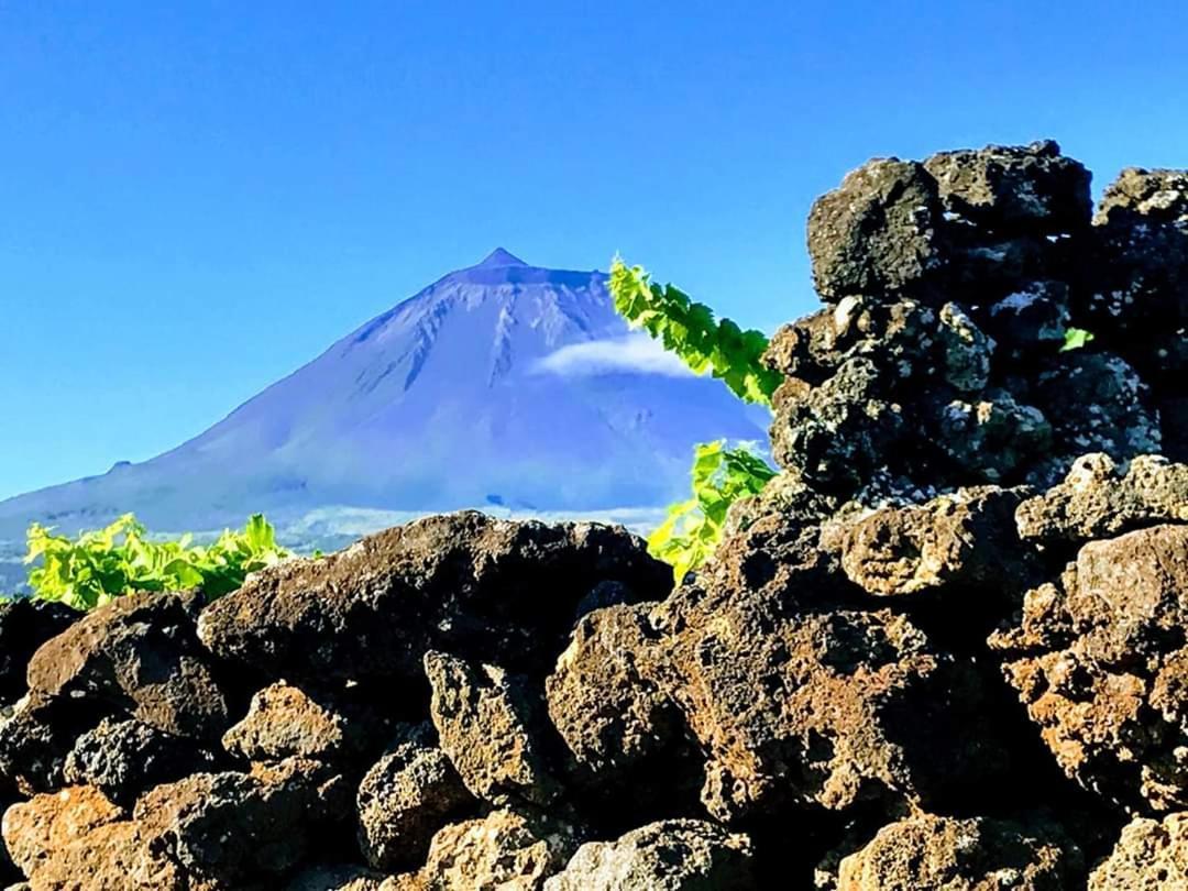 Baco'S Vineyard Villa Lajido Bagian luar foto