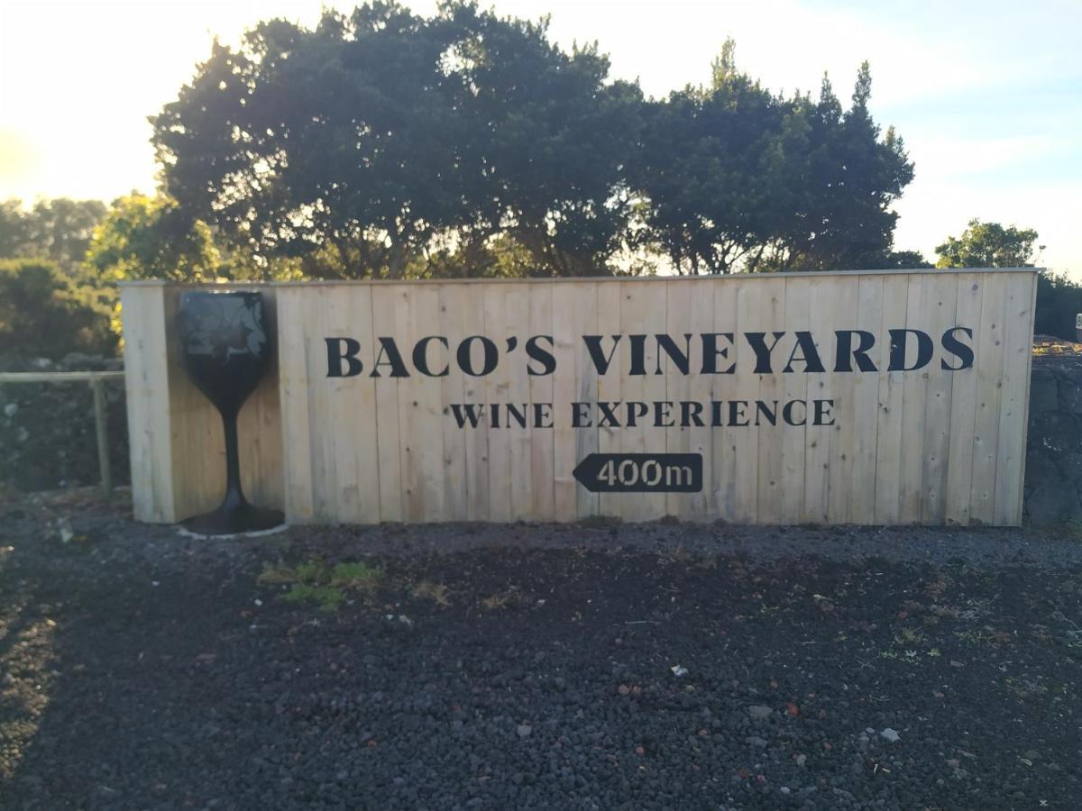 Baco'S Vineyard Villa Lajido Bagian luar foto